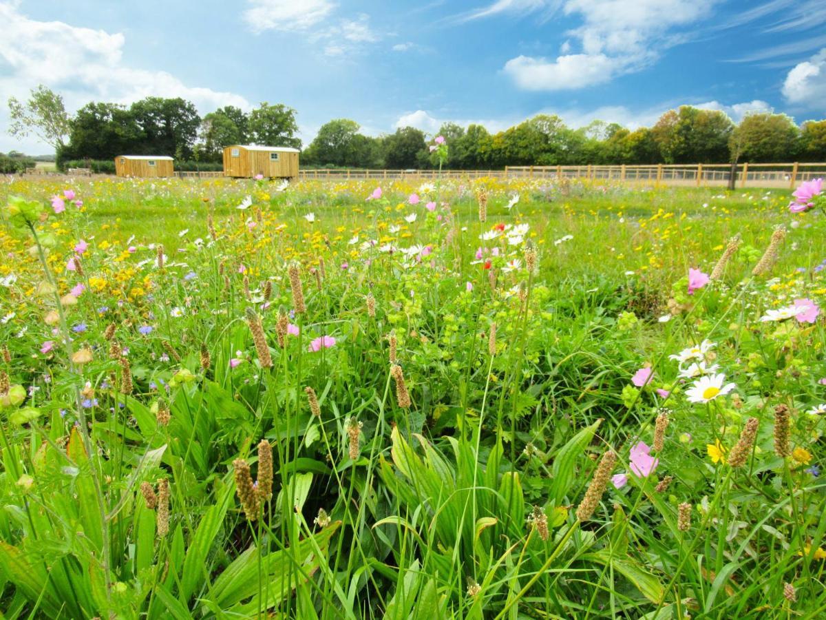 Honeysuckle Farm Holidays By Stay In Suffolk, Monk Soham 우드브리지 외부 사진