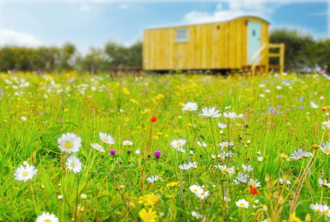 Honeysuckle Farm Holidays By Stay In Suffolk, Monk Soham 우드브리지 외부 사진